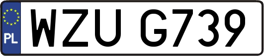 WZUG739