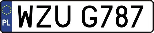 WZUG787