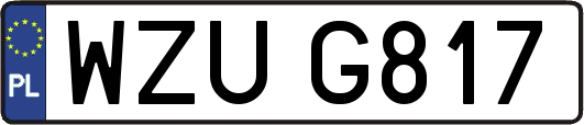 WZUG817