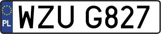 WZUG827