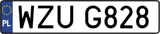 WZUG828