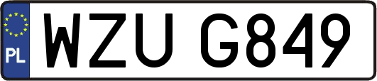 WZUG849