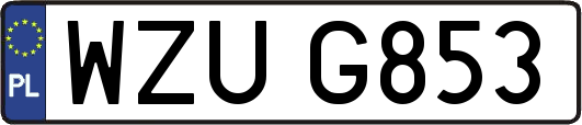 WZUG853
