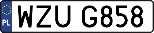 WZUG858