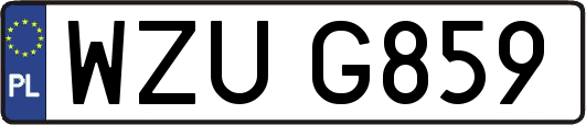 WZUG859