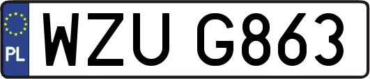 WZUG863