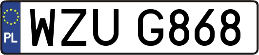 WZUG868