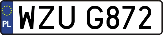 WZUG872