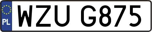 WZUG875