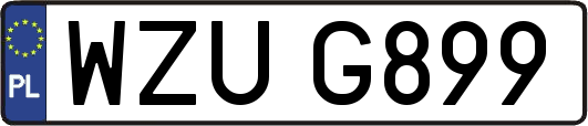WZUG899