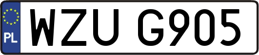 WZUG905
