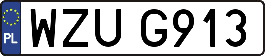 WZUG913