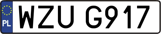 WZUG917