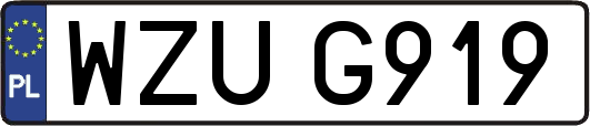 WZUG919