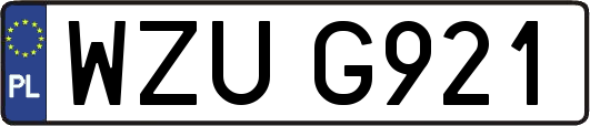 WZUG921
