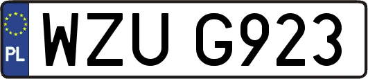 WZUG923
