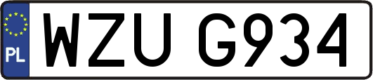 WZUG934