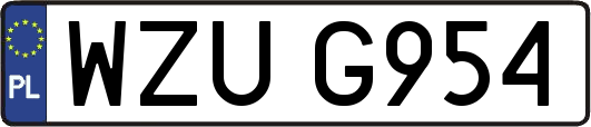 WZUG954
