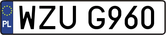 WZUG960