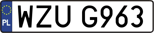 WZUG963