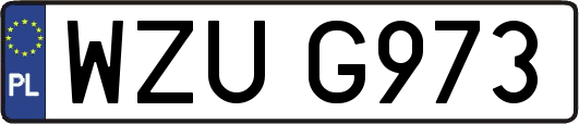 WZUG973