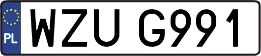 WZUG991