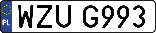 WZUG993