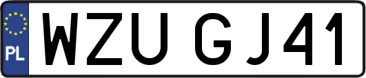 WZUGJ41