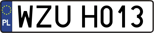 WZUH013