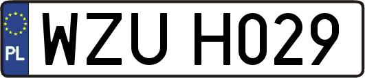 WZUH029