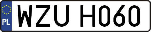 WZUH060