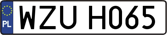WZUH065