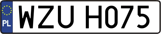 WZUH075