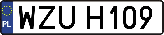 WZUH109
