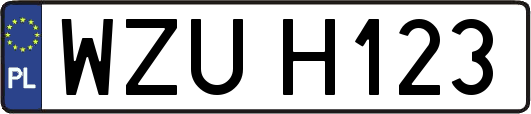 WZUH123
