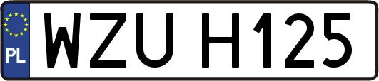 WZUH125