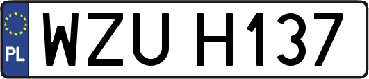 WZUH137