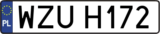 WZUH172