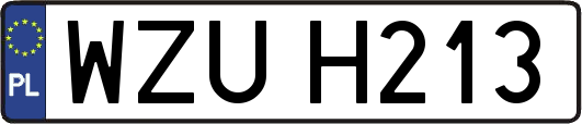 WZUH213