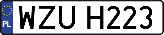 WZUH223