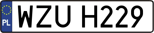 WZUH229