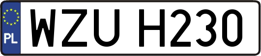 WZUH230