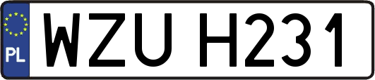 WZUH231