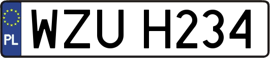 WZUH234