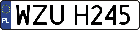 WZUH245