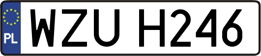 WZUH246