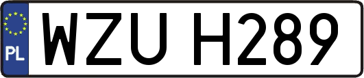 WZUH289