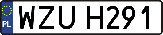 WZUH291