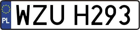 WZUH293