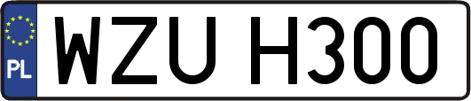 WZUH300